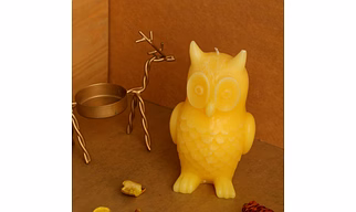 The Wise Owl Candle