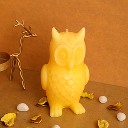 the wise owl candle