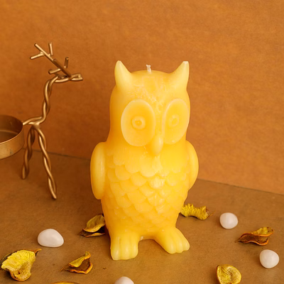 the wise owl candle