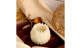 Perennial Lotus
