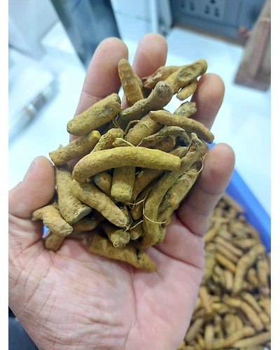 Turmeric powder-2