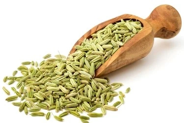 Fennel seeds-1