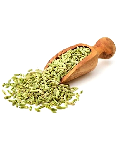 Fennel seeds-1