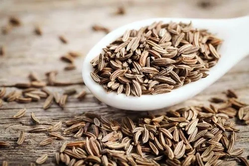 Cumin seeds-1