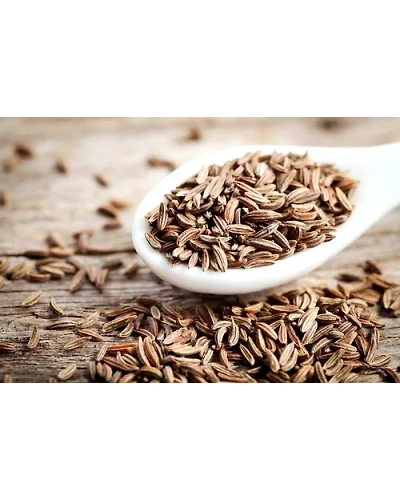 Cumin seeds-1