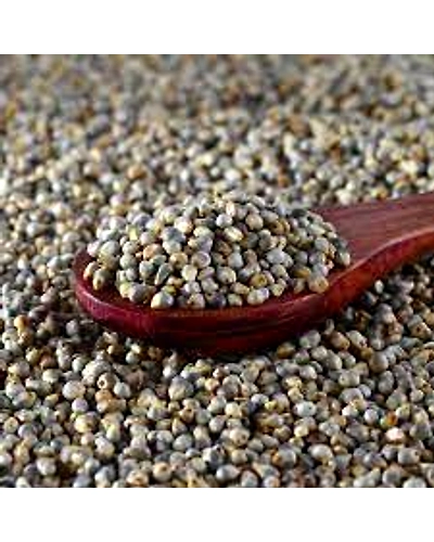 Pearl Millet-1