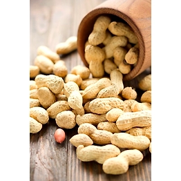 HPS Ground Nuts Kernels (Peanuts & Peanut Oil)