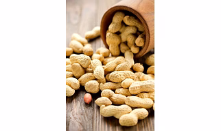 HPS Ground Nuts Kernels (Peanuts & Peanut Oil)