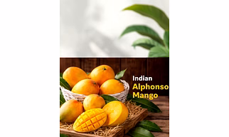 Premium Quality Indian Alphonso Mango (Fresh)