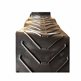 radixind conveyor belts