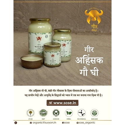 GIR Ahinsak Gau Ghee 500ml-4