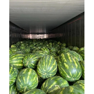 WATERMELONS