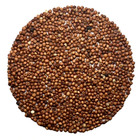 Finger Millet (Ragi )-3