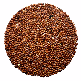 saiway international finger millet (ragi )