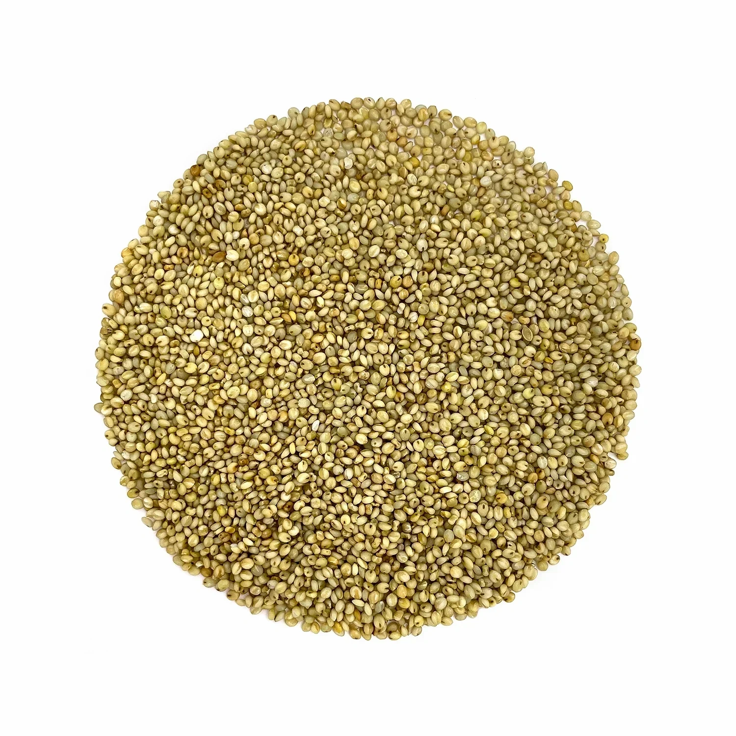 BrownTop Millet ( Unpolished Grains )-2