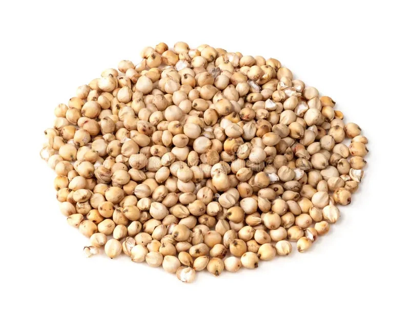 Sorghum Great Millet-3