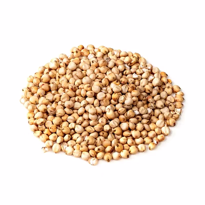 saiway international sorghum great millet