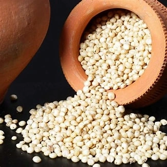 Sorghum Great Millet-2