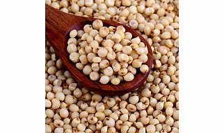 Sorghum Great Millet