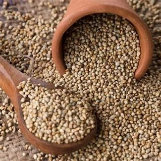 Pearl Millet ( Unpolished Grains )-1