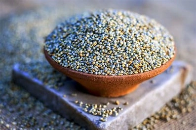 Pearl Millet ( Unpolished Grains )-12638372