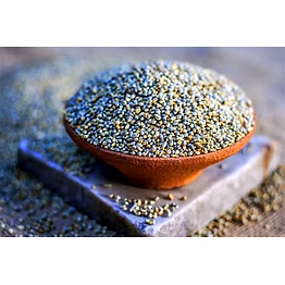 saiway international pearl millet ( unpolished grains )