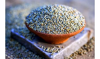 Pearl Millet ( Unpolished Grains )