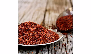 Finger Millet (Ragi )