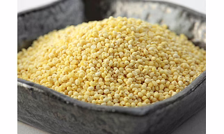Proso Millet ( Unpolished  )