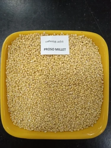 Proso Millet ( Unpolished  )-2