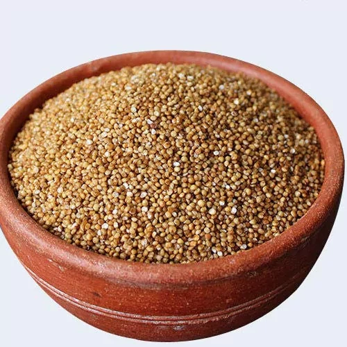 Kodo Millet ( Unpolished )-1