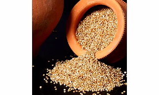 Kodo Millet ( Unpolished )