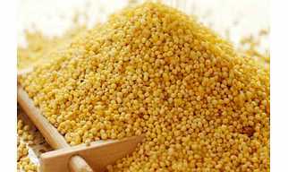 Foxtail Millet ( Unpolished ) / Yellow Millet