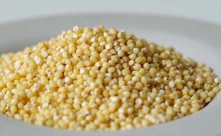 Foxtail Millet ( Unpolished ) / Yellow Millet-2