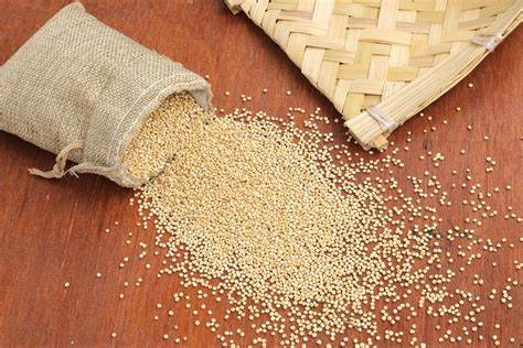 Little Millet ( Unpolished Grains )-1