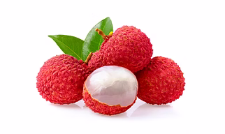 Litchi