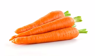 Carrot
