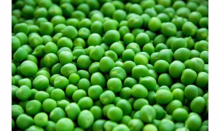 Green Peas