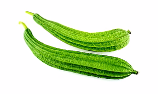 Sponge Gourd