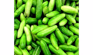 Tindora