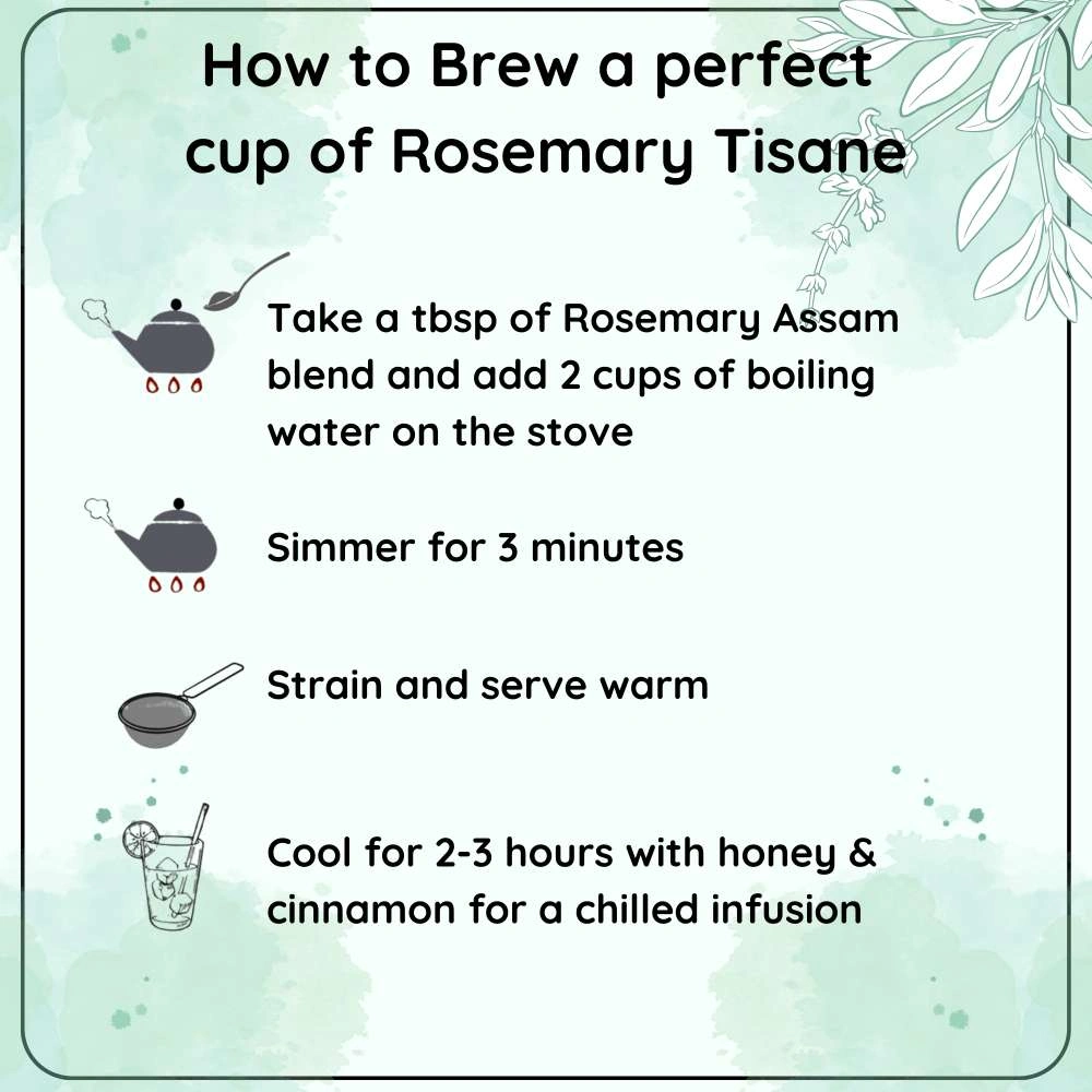 Rosemary Herb