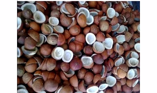Dry Coconut
