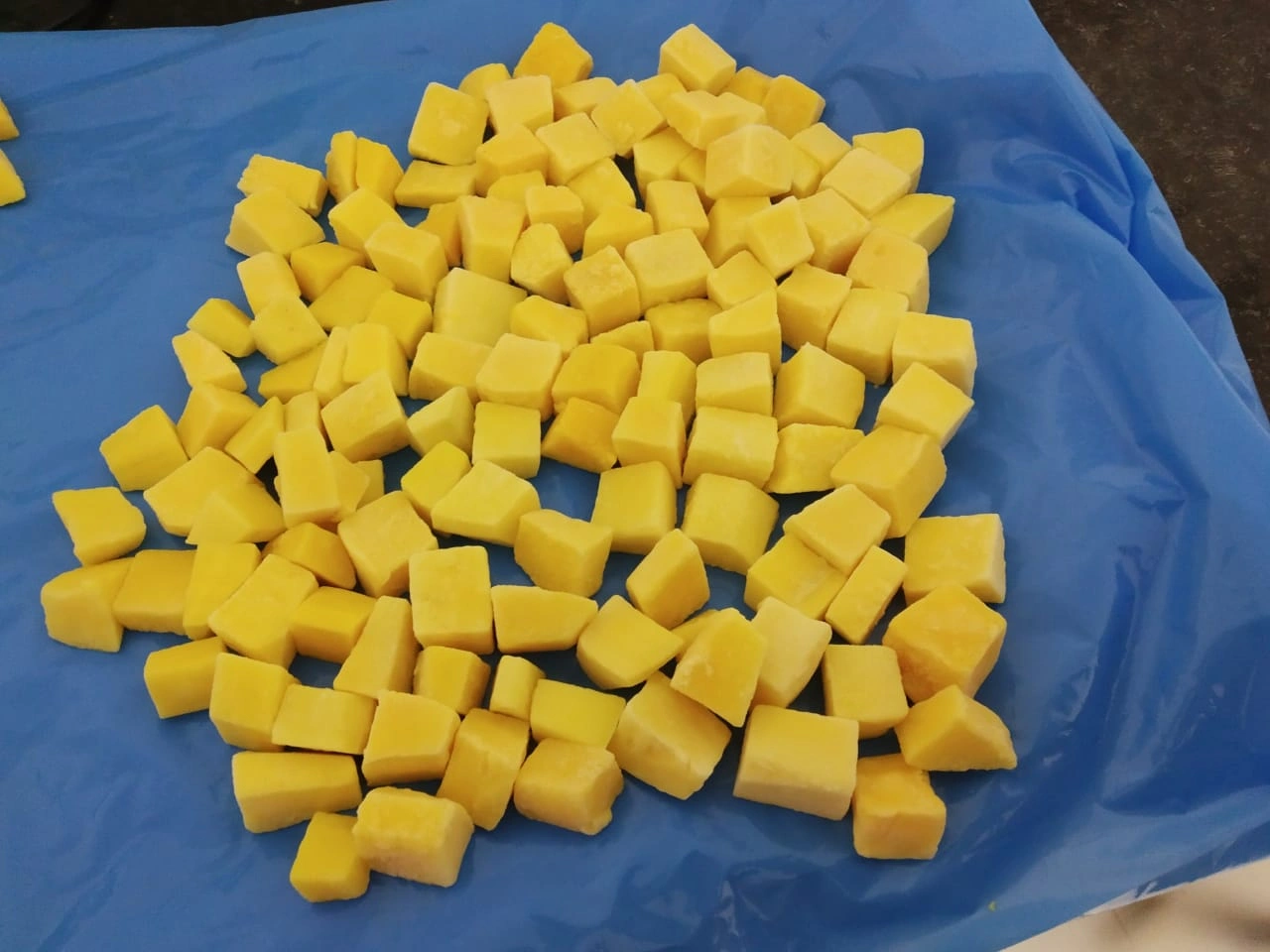 Frozen Totapuri Mango Dices-3