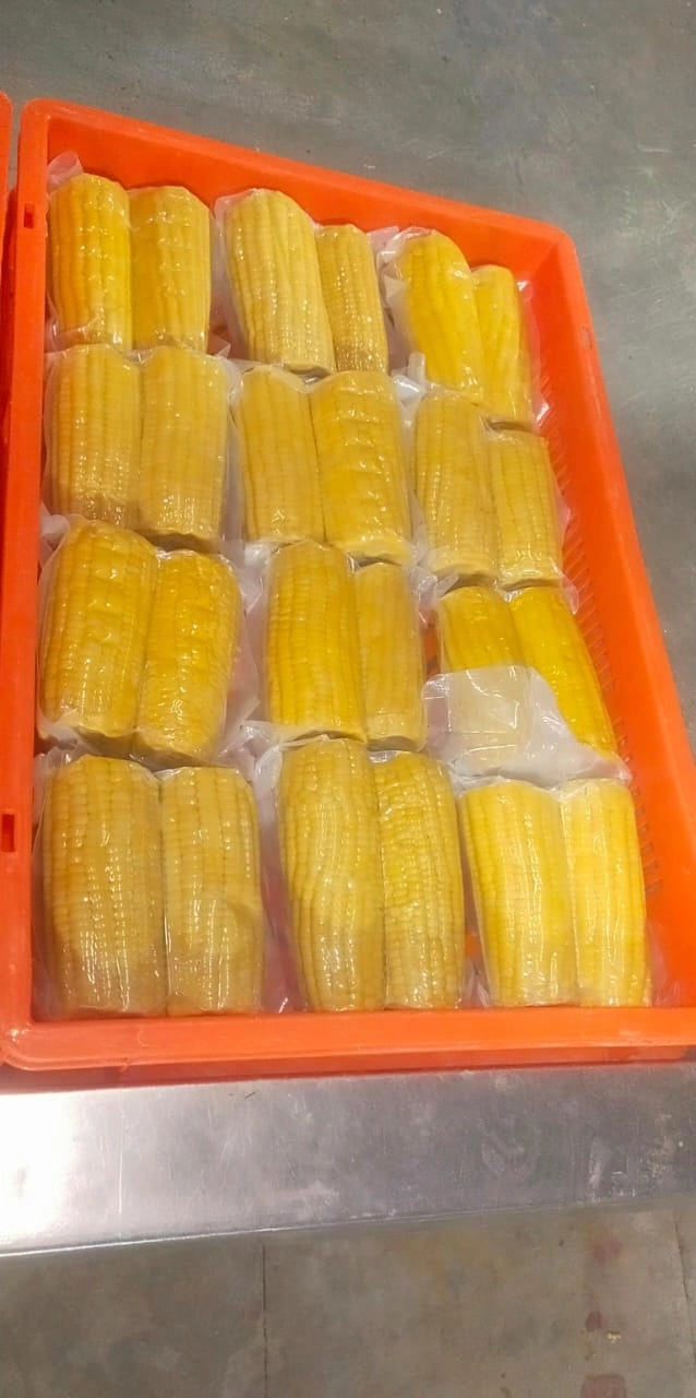 Vaccum packed Corn On Cobs-500gm300gm