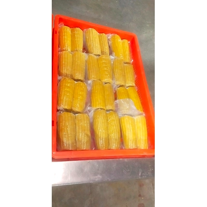 Vaccum packed Corn On Cobs-500gm300gm