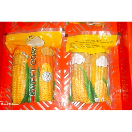 Vaccum packed Corn On Cobs-1
