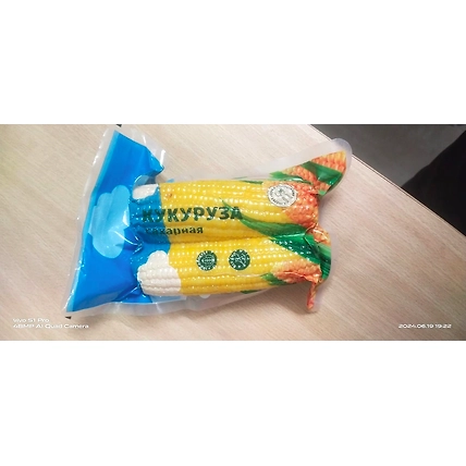 Vaccum packed Corn On Cobs-3