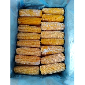 Frozen Corn On cobs
