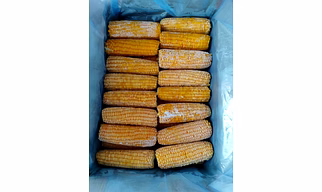 Frozen Corn On cobs