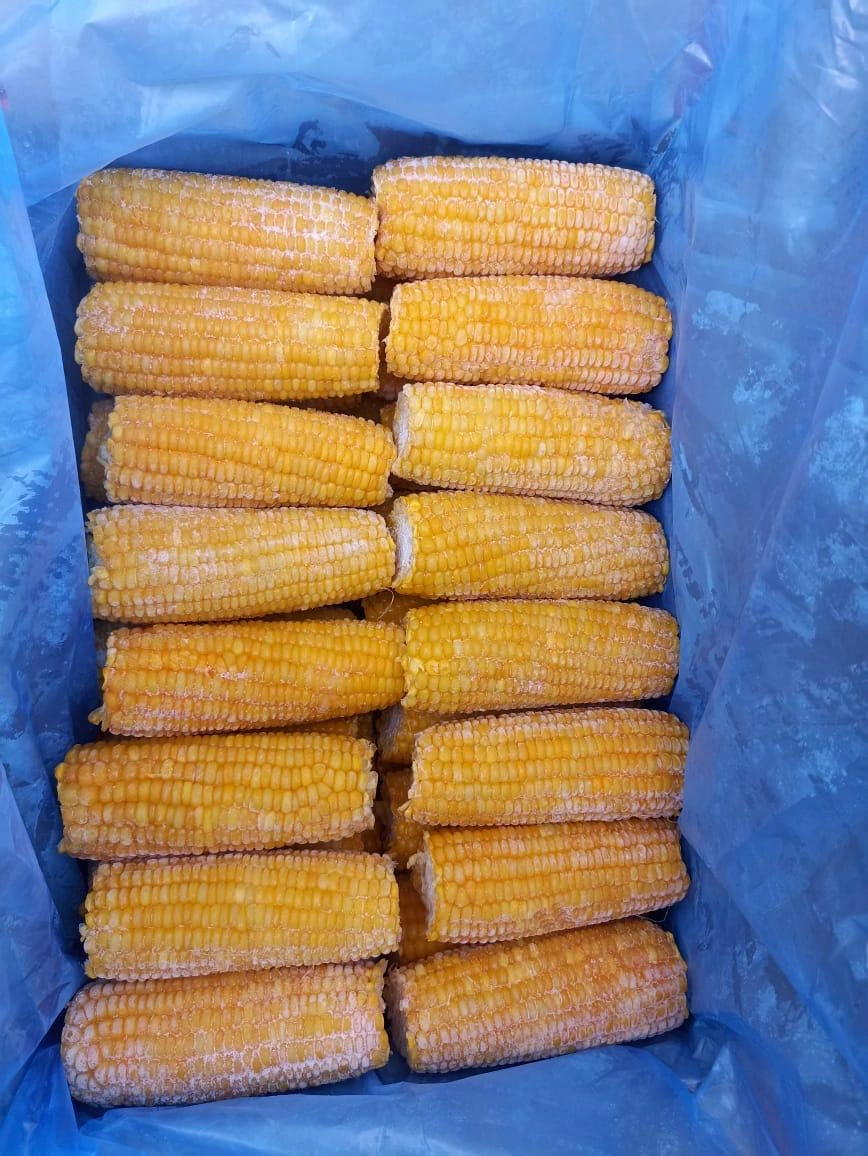 Frozen Corn On cobs-2